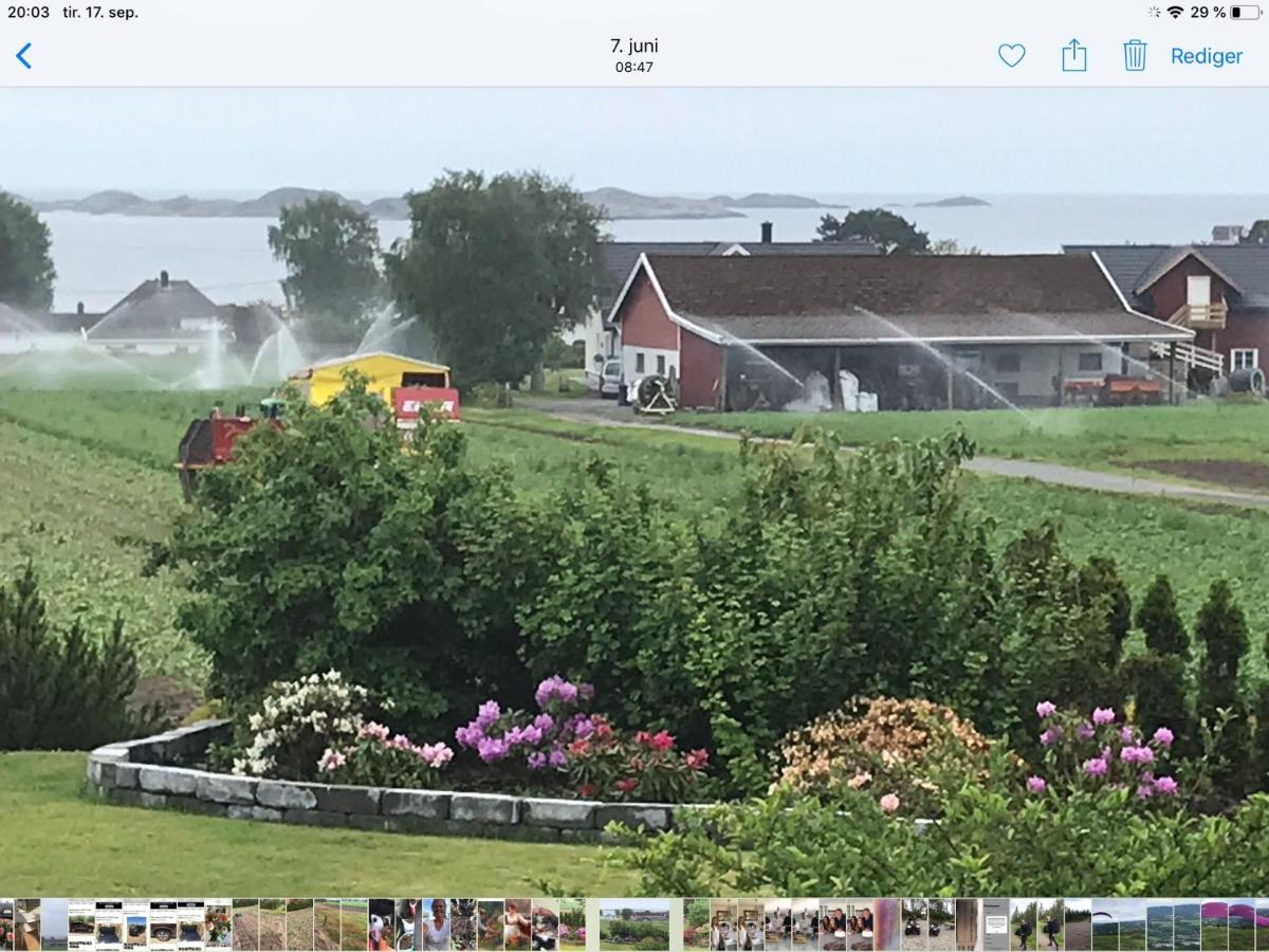 Ny Leilighet I Nevlunghavn Larvik Buitenkant foto