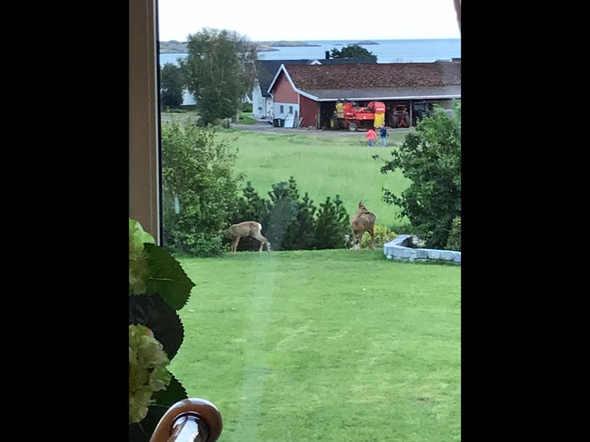 Ny Leilighet I Nevlunghavn Larvik Buitenkant foto