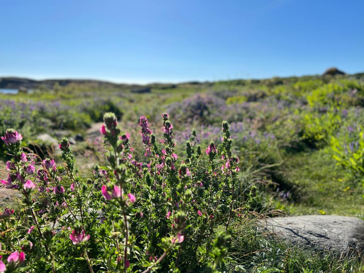 Ny Leilighet I Nevlunghavn Larvik Buitenkant foto