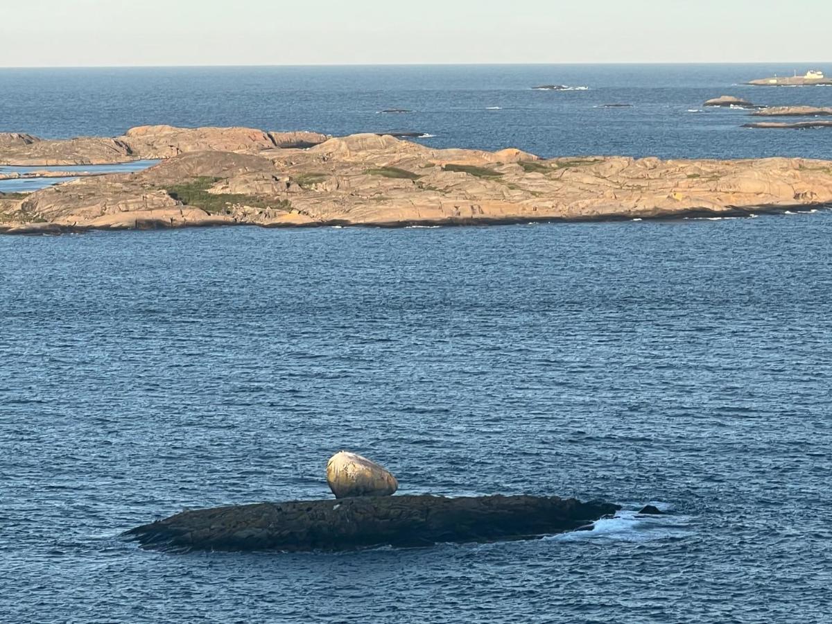 Ny Leilighet I Nevlunghavn Larvik Buitenkant foto